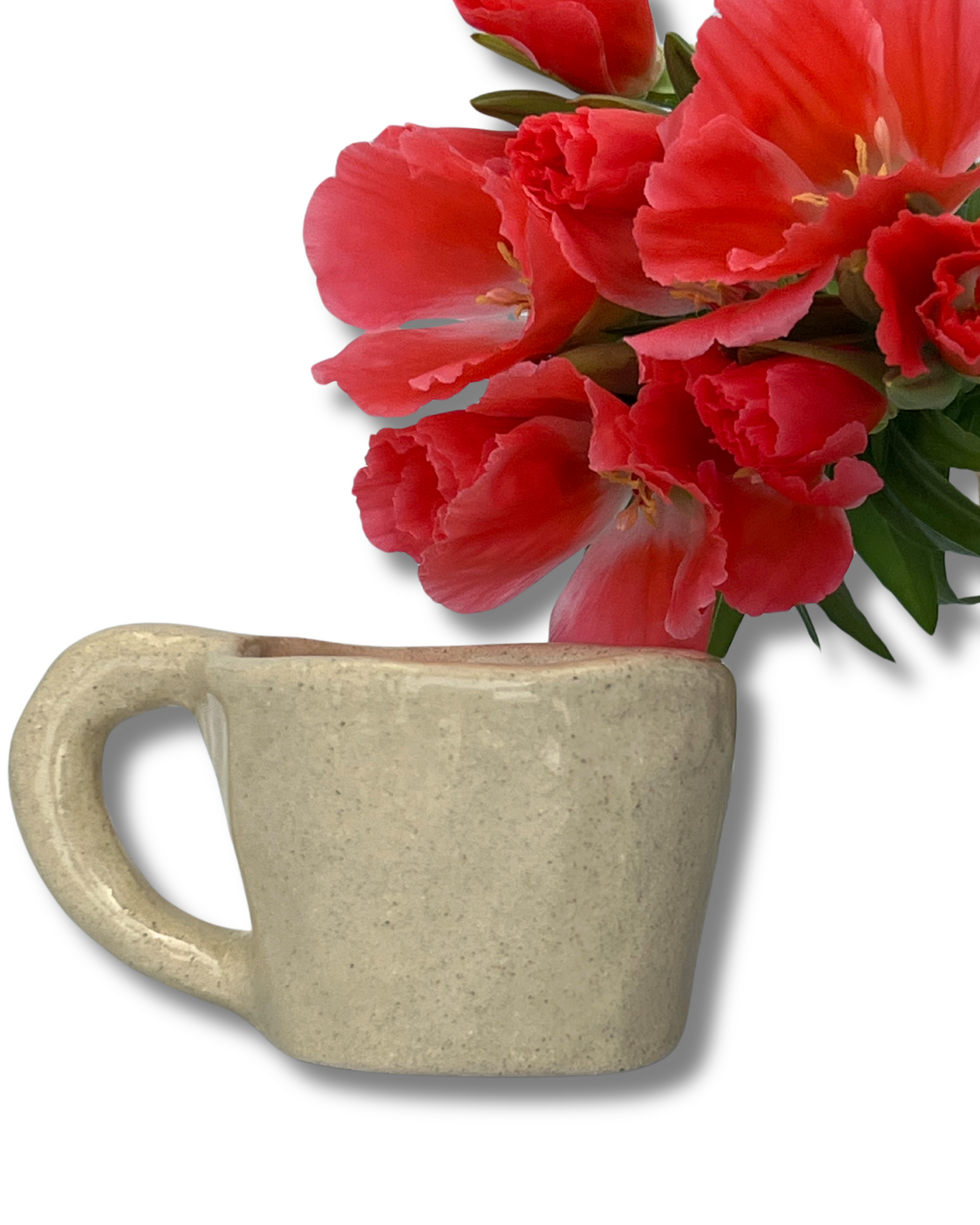 Duo tasse avec anse